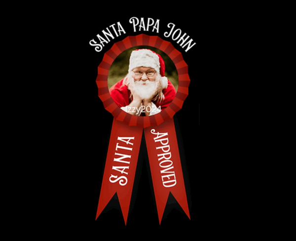 Santa Approved Service