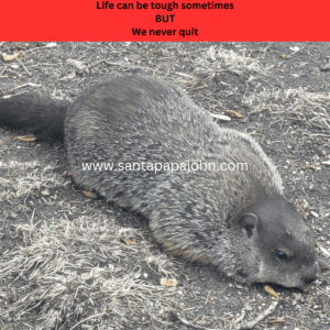 SPJ-WA-Groundhog